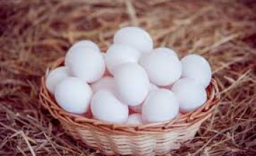 В супермаркетах Днепра куриные яйца дорожают вторую неделю подряд