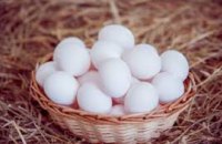 В супермаркетах Днепра куриные яйца дорожают вторую неделю подряд