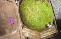 ​В Киеве пограничники выявили у жителя Вьетнама 350 кг экзотических фруктов (ФОТО)