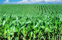 Аграриям Днепропетровщины передали 759 мешков семян кукурузы