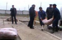В Житомирской области мужчина перевозил тонну контрабандного мяса