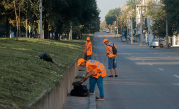 Около 300 коммунальщиков и более 30 единиц техники ежедневно убирают улицы и проспекты Днепра