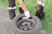 Украинец запасное колесо автомобиля нашпиговал пакетами с марихуаной