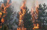 В лесах Днепропетровщины объявлен 5-й класс пожароопасности