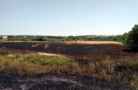 На Днепропетровщине ликвидировали возгорание на поле с пшеницей