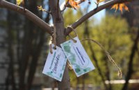 В Днепре появился первый в городе кленовый сад на ул. Гладкова: жители 12-квартала поделились впечатлениями (ФОТО)