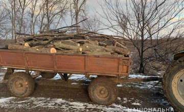 На Днепропетровщине задержали незаконных лесорубов: мужчины везли целый прицеп дров ясеня и акации 