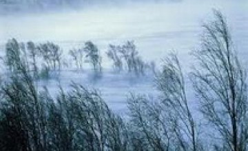 7 и 8 января в Днепропетровской области ожидается похолодание до -25 градусов с сильным ветром