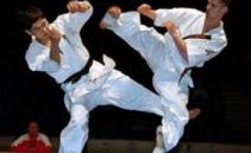 Кабмин предлагает отменить админответственность за самовольное обучение каратэ