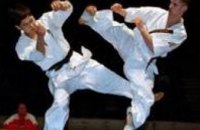 Кабмин предлагает отменить админответственность за самовольное обучение каратэ