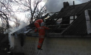 В Днепропетровской области на пожаре в доме погиб пенсионер