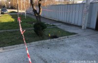 В Запорожье двое подростков подорвались на гранате (ФОТО)