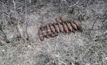 На Днепропетровщине обнаружили более 20 боеприпасов 