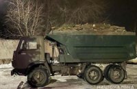 На Днепропетровщине мужчина незаконно вырубил около 11 кубометров акации