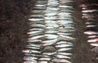 ​На Днепропетровщине обнаружили браконьеров с уловом рыбы более чем 100 тыс. грн. (ПОДРОБНОСТИ)