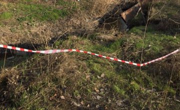В Киеве нашли тело убитой 16-летней девушки
