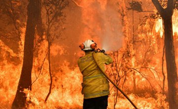 С начала года на Днепропетровщине произошло почти 2 тысячи пожаров в экосистемах (ВИДЕО)