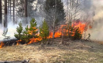 В этом году в лесах Днепропетровщины произошло 16 пожаров