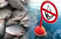 С 1 апреля на Днепропетровщине начинается нерестовый запрет на вылов рыбы