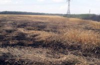 В Днепропетровской области горело пшеничное поле (ФОТО)