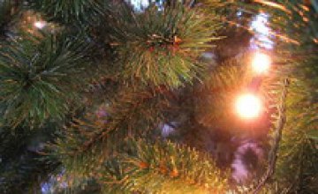 20 декабря в Ленинском районе Днепропетровска состоится открытие новогодней елки
