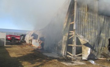 В Днепропетровской области сгорел ангар со специями