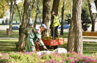 У парках Писаржевського та Зелений Гай готуються до зими: підв’язують хвойні, прочищають ливнівки, консервують системи поливу