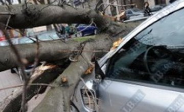 В Полтавской области ураган убил человека 