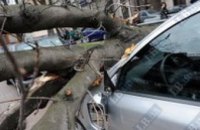 В Полтавской области ураган убил человека 