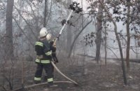 В Киеве ликвидировали пожар в Дарницком лесу