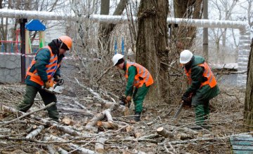 В Днепре в 2019 году планируют высадить 11 тысяч деревьев и кустов