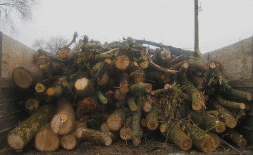 Полицейские в Царичанском районе помешали незаконной вырубке леса