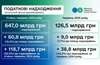 Леся Карнаух: ДПС перевиконала план надходжень за перше півріччя на понад 60,8 млрд гривень
