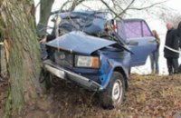 В Черниговской области легковушка врезалась в дерево: трое погибших (ФОТО)