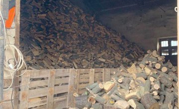 На Днепропетровщине обнаружен склад незаконно вырубленной древесины 