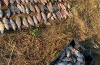 ​На Днепропетровщине браконьеры выловили около 600 рыб
