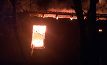 На Днепропетровщине сгорел склад лесоматериалов (ВИДЕО)