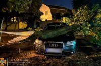 Пошкоджені автівки та перегороджені провулки: у Дніпрі надзвичайники протягом ночі прибирали дерева повалені шквальним вітром