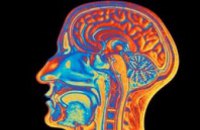 Ученые нашли новый способ «усиления» мозга