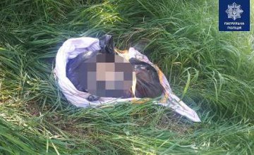В Донецкой области мужчина выбросил пакет с частями человеческого тела в огороде соседей