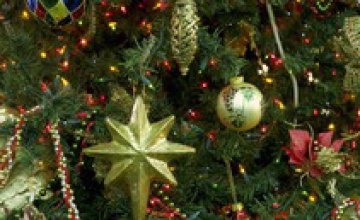 20 декабря для жителей Индустриального и Самарского районов Днепропетровска состоится открытие новогодней елки