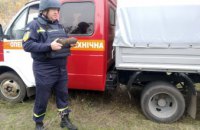 Искали грибы, а нашли мину: под Днепром в лесопосадке обнаружили устаревший снаряд