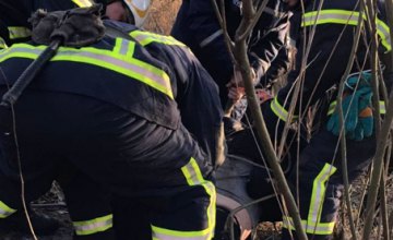 На Днепропетровщине спасатели нашли в колодце мужчину (ВИДЕО)