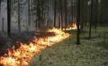 В Днепропетровской области увеличилось количество пожаров, по сравнению с прошлым годом, - ГСЧС