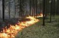 В Днепропетровской области увеличилось количество пожаров, по сравнению с прошлым годом, - ГСЧС