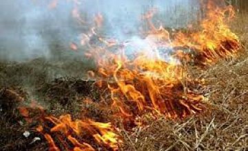 В Украине 25-26 апреля ожидается высокий уровень пожароопасности