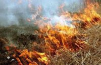 В Украине 25-26 апреля ожидается высокий уровень пожароопасности