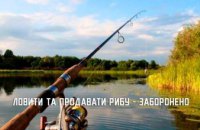 На Дніпропетровщині заборонили вилов та продаж риби 