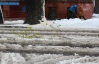 Днепр стал рекордсменом региона по количеству выпавшего снега, - Гидрометцентр