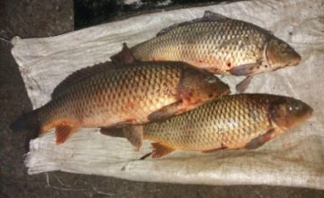 На Днепропетровщине рыбаки незаконно выловили 175 кг водных биоресурсов, - госрыбагентство 